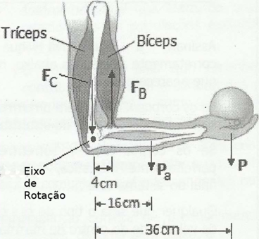 https://novometodo.com.br/mvc/index.php/questoes/exibirImagem?json=%7B%22ilusID%22%3A153741%7D